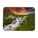 Recherche de fleurs de montagne magnets Champ