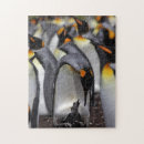 Recherche de poussins puzzles Animal