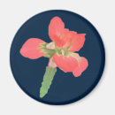 Recherche de roses indien magnets Fleur