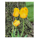 Recherche de avec le jaune posters Arbre