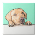 Recherche de curieux carreaux Chien