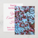 Recherche de bourgeon de rose de rose Printemps