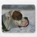 Recherche de chien boxeur tapis souris Headshot