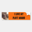 Recherche de chien de plott Chiot