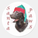 Recherche de labrador chocolat autocollants Animaux