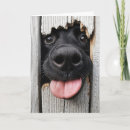 Recherche de langue vœux cartes Animal