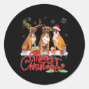 Recherche de chien boxer autocollants Drôle