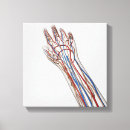 Recherche de immunologique posters Membre