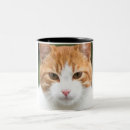 Recherche de beau chat tasses Mignonne