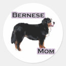 Recherche de bmd Bernais
