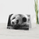 Recherche de panda géant vœux cartes Noir et blanc