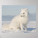Recherche de climate change posters Environment