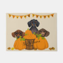 Recherche de dachshund thanksgiving Doxies