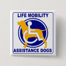Recherche de mobilité Fauteuil roulant