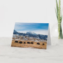 Recherche de yellowstone vœux cartes Troupeau