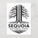 Recherche de parc national séquoia cartes postales Travel
