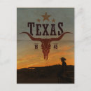 Recherche de longhorn du texas cartes postales Bétail