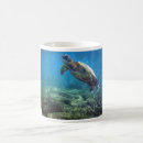Recherche de mer tasses Tropical