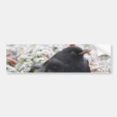 Recherche de oiseaux noirs voiture autocollants Animal