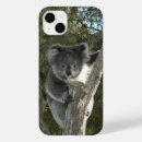 Recherche de ours koala iphone coques Faune