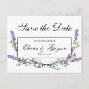 Recherche de lavande vintage cartes postales Botanique