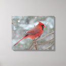 Recherche de cardinal painting toiles Rouge