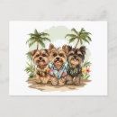 Recherche de yorkshire terrier chien cartes postales Yorkie