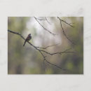 Recherche de forestier cartes postales Paisible