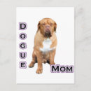 Recherche de dogue de bordeaux cartes postales Mastiff