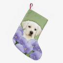 Recherche de labrador de noël chaussette de noël Dog