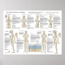 Recherche de extraordinaire art Graphique