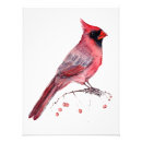 Recherche de cardinal rouge posters Vacances d'hiver