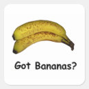 Recherche de bananes autocollants Amusement