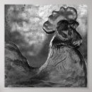 Recherche de verre posters Photographie