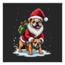 Recherche de bouledogue anglais posters Chiot