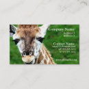 Recherche de animaux zoo cartes visite Faune