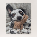 Recherche de chiens de jouets sports Pour animaux