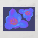Recherche de fleurs de crocus cartes postales Photographie