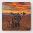 Recherche de chameaux horloges Paysage