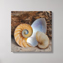 Recherche de coquilles impressions sur toile Pour tous