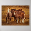 Recherche de chevaux sauvages posters Liberté