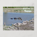 Recherche de le texas cartes postales Usa