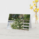 Recherche de clôture blanche Fleur