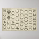 Recherche de dents posters Graphique