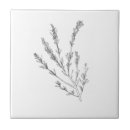 Recherche de romarin carreaux Nature