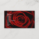 Recherche de amour rose cartes visite Floral