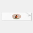 Recherche de oiseaux voiture autocollants Ailes