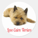 Recherche de terrier autocollants Chien