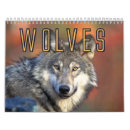Recherche de loup calendriers Gris