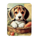 Recherche de chiot vintage magnets Mignon